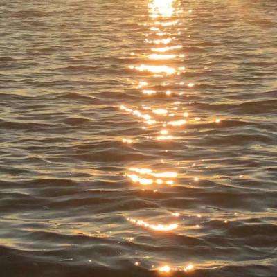 m6米乐官方网站登录入口APP下载截图